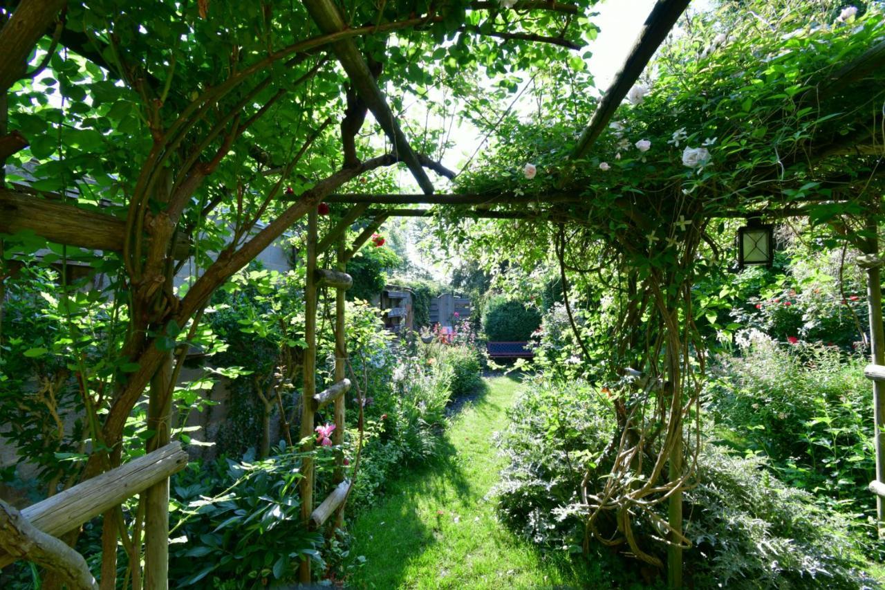 Bien Etre Et Detente Chez Cote Campagne Et Jardin Ohnenheim Екстериор снимка